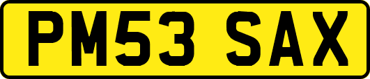 PM53SAX