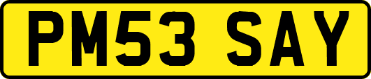PM53SAY