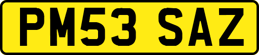 PM53SAZ