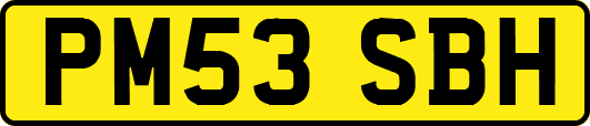 PM53SBH