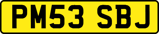 PM53SBJ