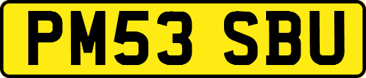 PM53SBU