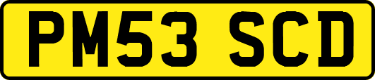 PM53SCD