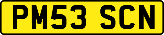 PM53SCN