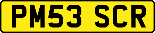 PM53SCR