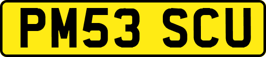 PM53SCU