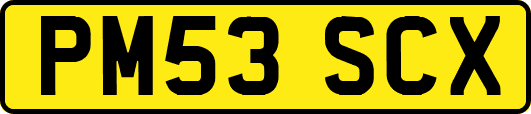 PM53SCX