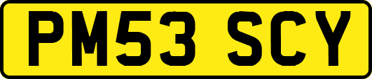 PM53SCY