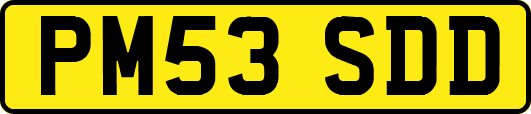 PM53SDD