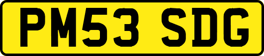 PM53SDG