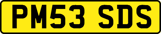 PM53SDS