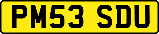 PM53SDU