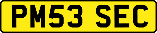PM53SEC