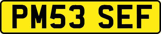 PM53SEF