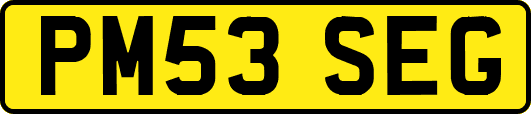PM53SEG