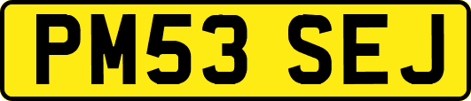 PM53SEJ