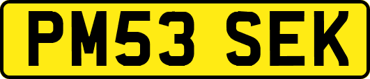 PM53SEK