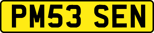 PM53SEN