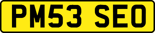 PM53SEO