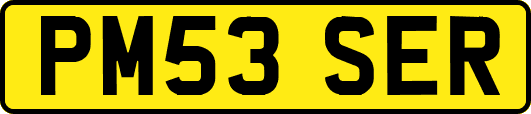 PM53SER