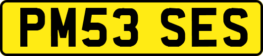PM53SES