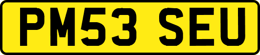 PM53SEU