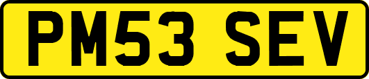 PM53SEV