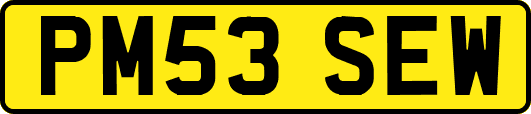 PM53SEW
