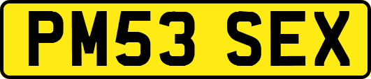 PM53SEX