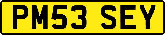 PM53SEY