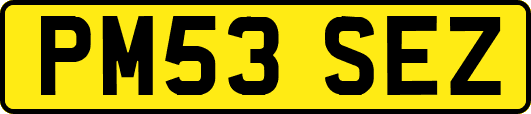 PM53SEZ