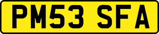 PM53SFA