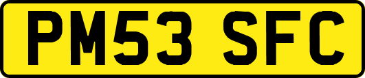 PM53SFC