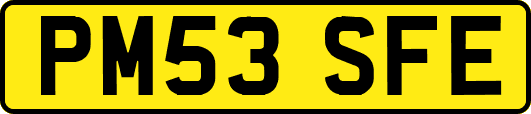 PM53SFE