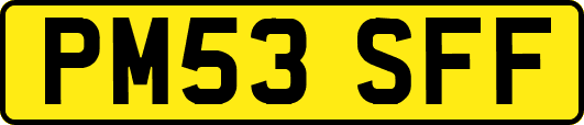 PM53SFF