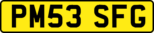 PM53SFG