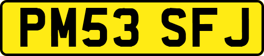 PM53SFJ
