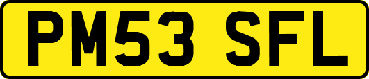 PM53SFL