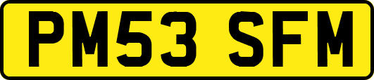 PM53SFM