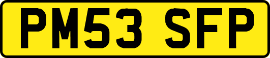 PM53SFP