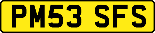 PM53SFS