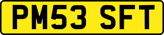 PM53SFT