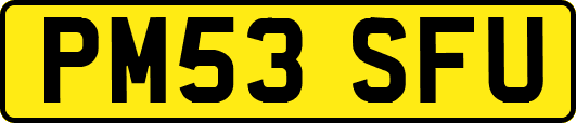 PM53SFU