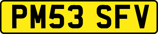 PM53SFV
