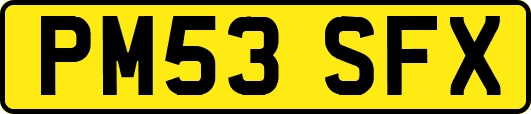 PM53SFX
