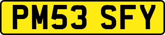 PM53SFY