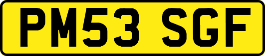 PM53SGF