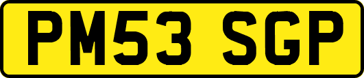 PM53SGP