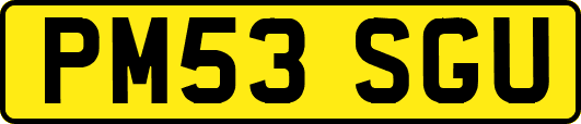 PM53SGU