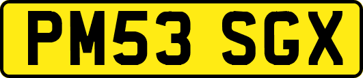 PM53SGX